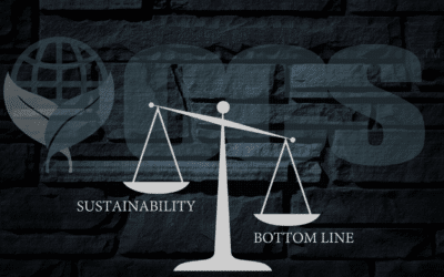 The Grand Promise of Sustainability: Strategies for Making It Real